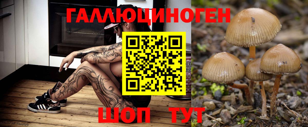 Галлюциногенные грибы ЛСД  Вход с VPN  Боровичи 